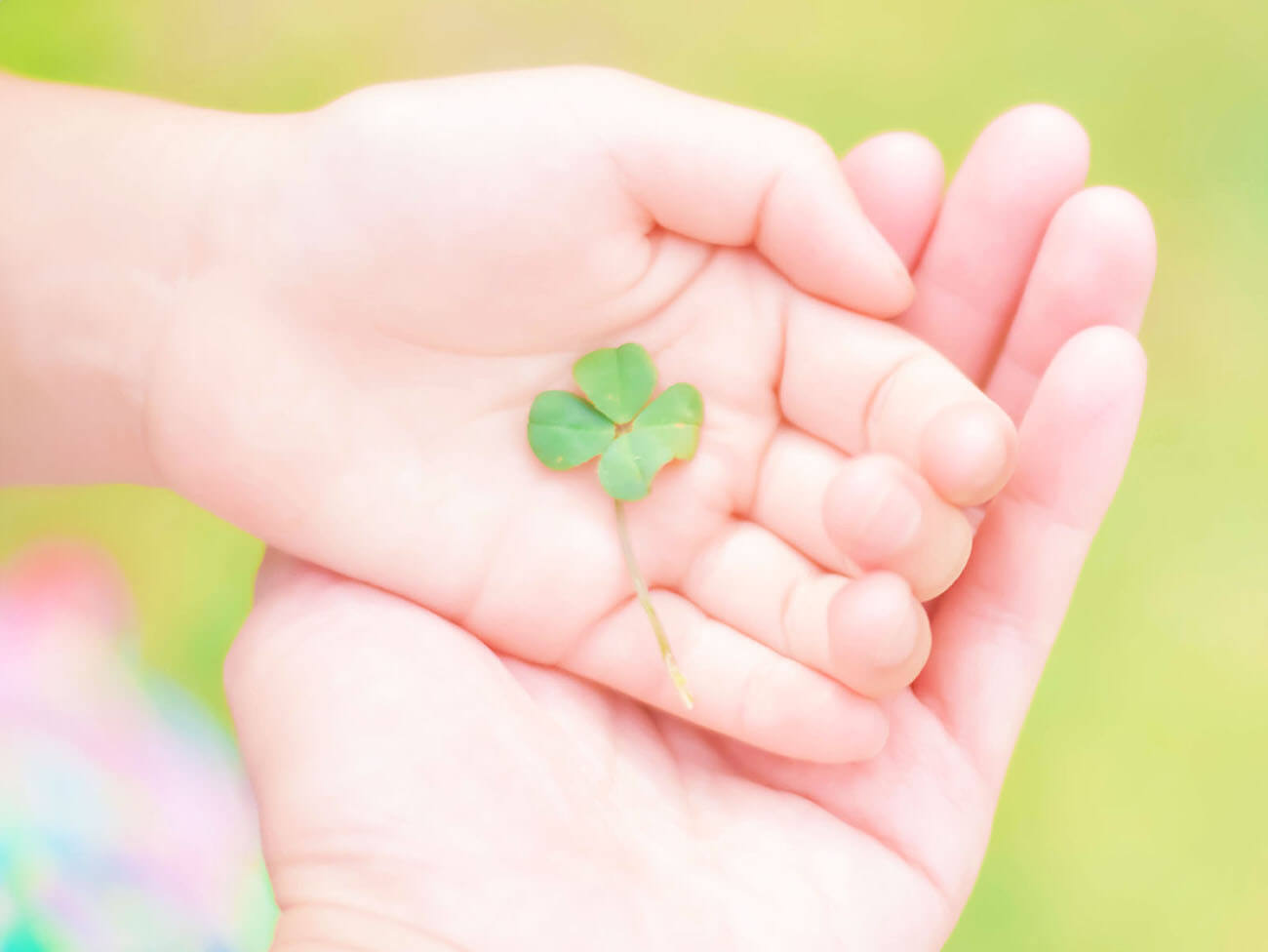 介護保険サービス画像