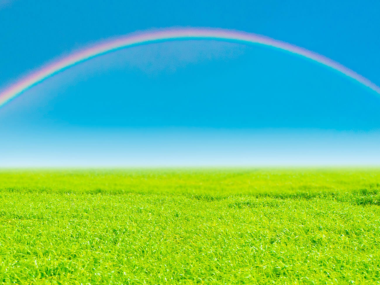 障害福祉サービス画像